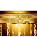 Golden Snail Cleanser - Whatever You Like Shop