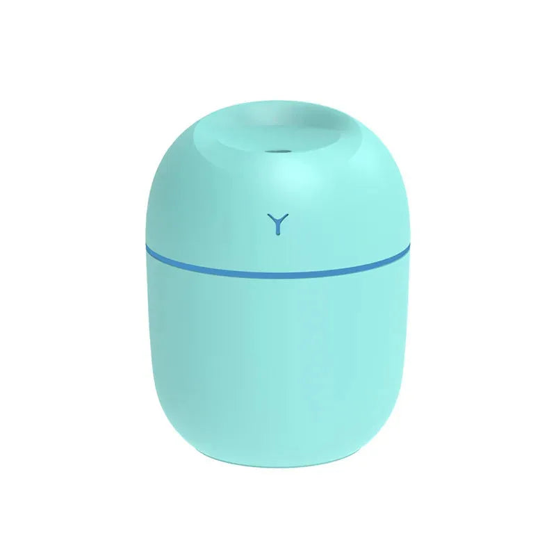 Portable Ultrasonic Humidifier - Whatever You Like Shop